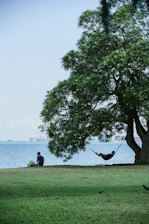 A peaceful lakeside scene in Port Washington with a colorful camping hammock hanging between two trees.