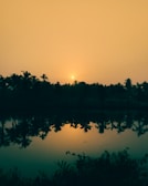 A serene landscape of a Florida state park at sunset.
