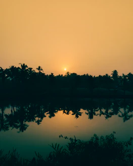 A peaceful Kerala landscape at sunset, symbolizing clarity and insight.