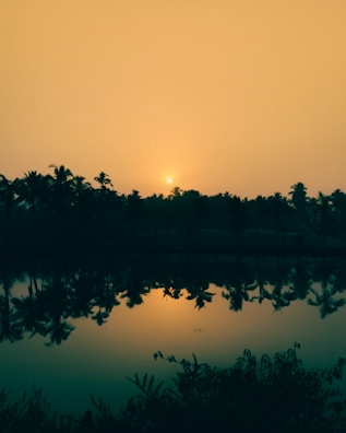 A serene landscape of a Florida state park at sunset.