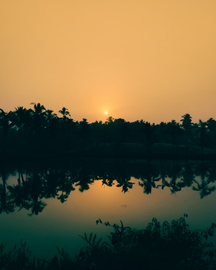 A serene landscape featuring a sunset over a tranquil beach with palm trees.