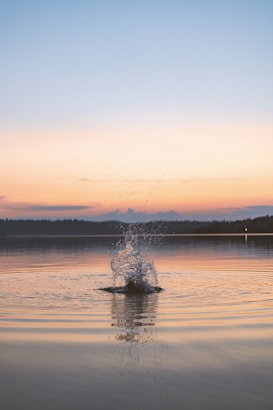 A serene lake is depicted with a splash of water at its center, surrounded by gentle ripples. The sky above is painted in soft gradients of orange and blue, indicating either sunrise or sunset. A distant treeline can be seen on the horizon, adding to the tranquility of the scene.