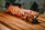 Smiling customer holding a skewer with grilled meat, sitting in a stylish restaurant setting.