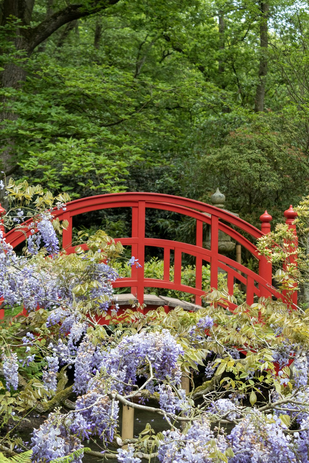 a red bridge surrounded by purple flowers and trees