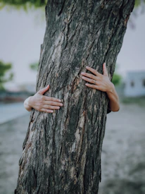 Close-up of a hand gently touching the roots of a large, ancient tree symbolizing deep emotional work.