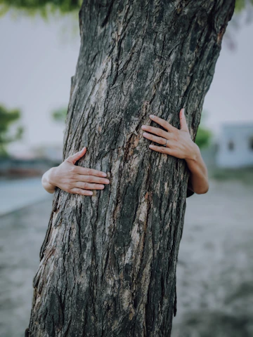 Close-up of a hand gently touching the roots of a large, ancient tree symbolizing deep emotional work.