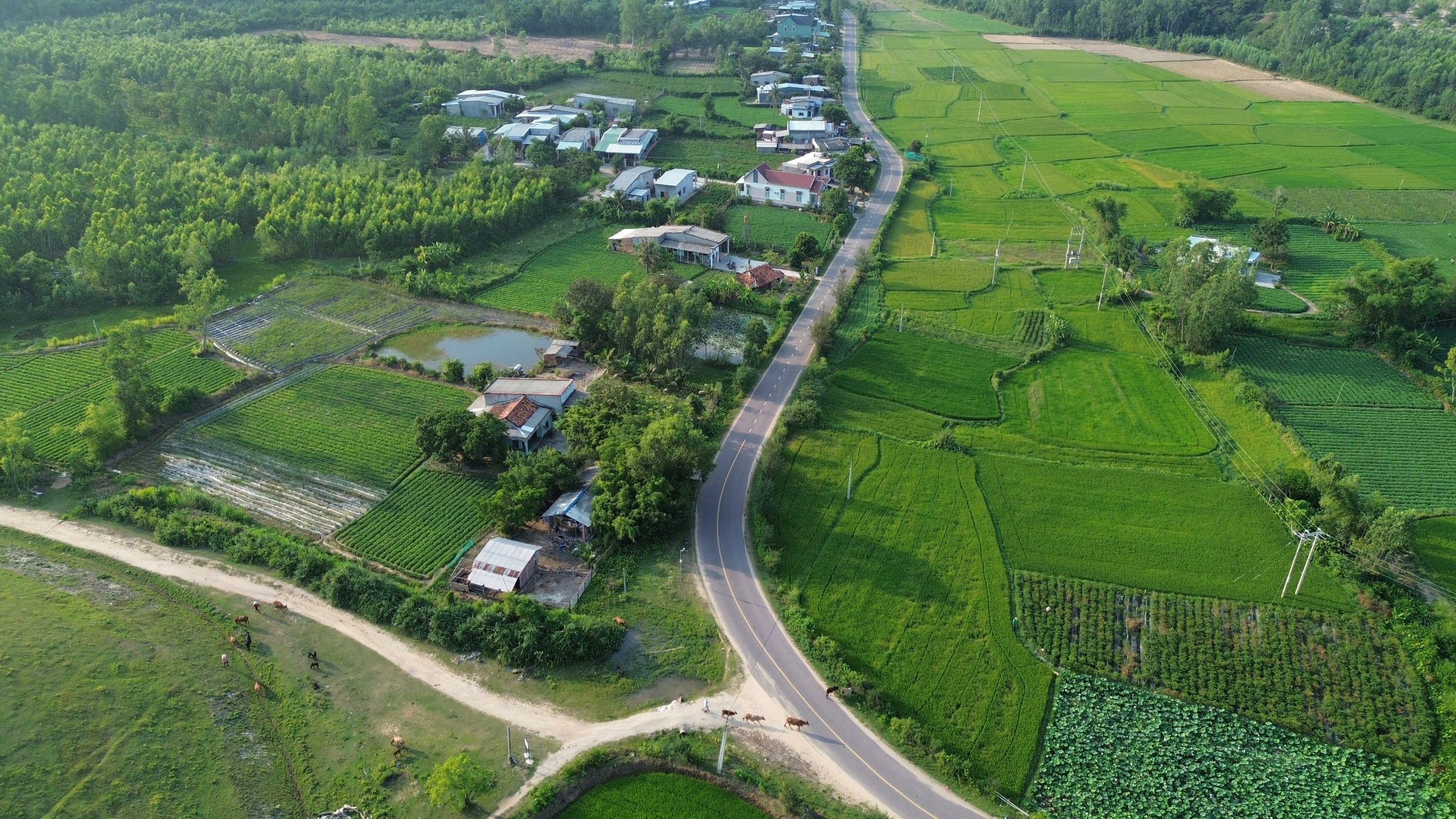 Khu Văn Hóa Xã Tây Giang