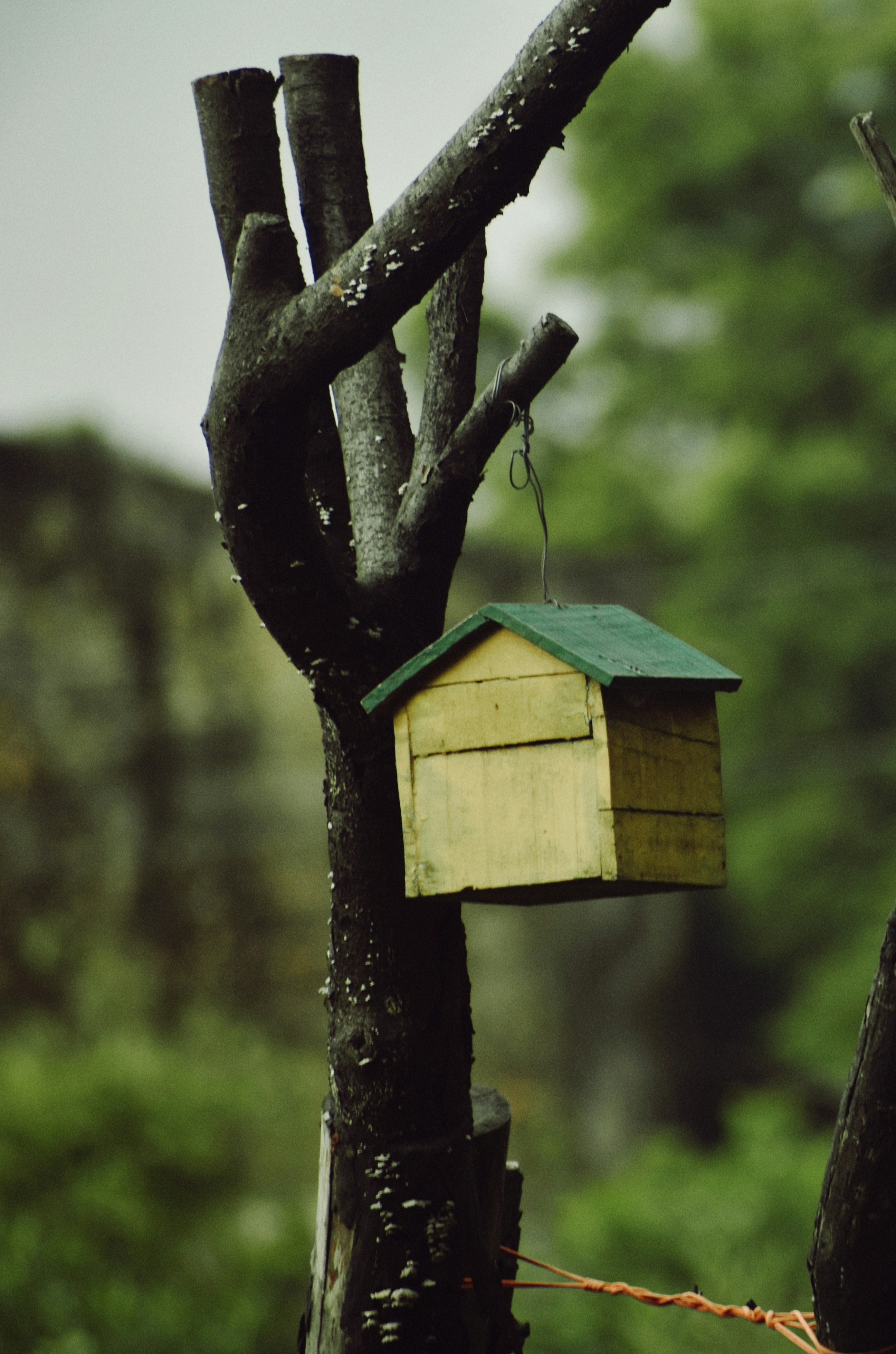 Photo by ahmadattari192