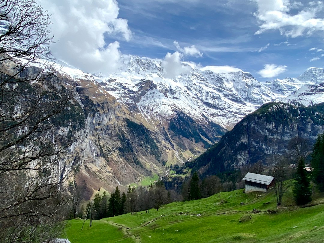 Faltschen