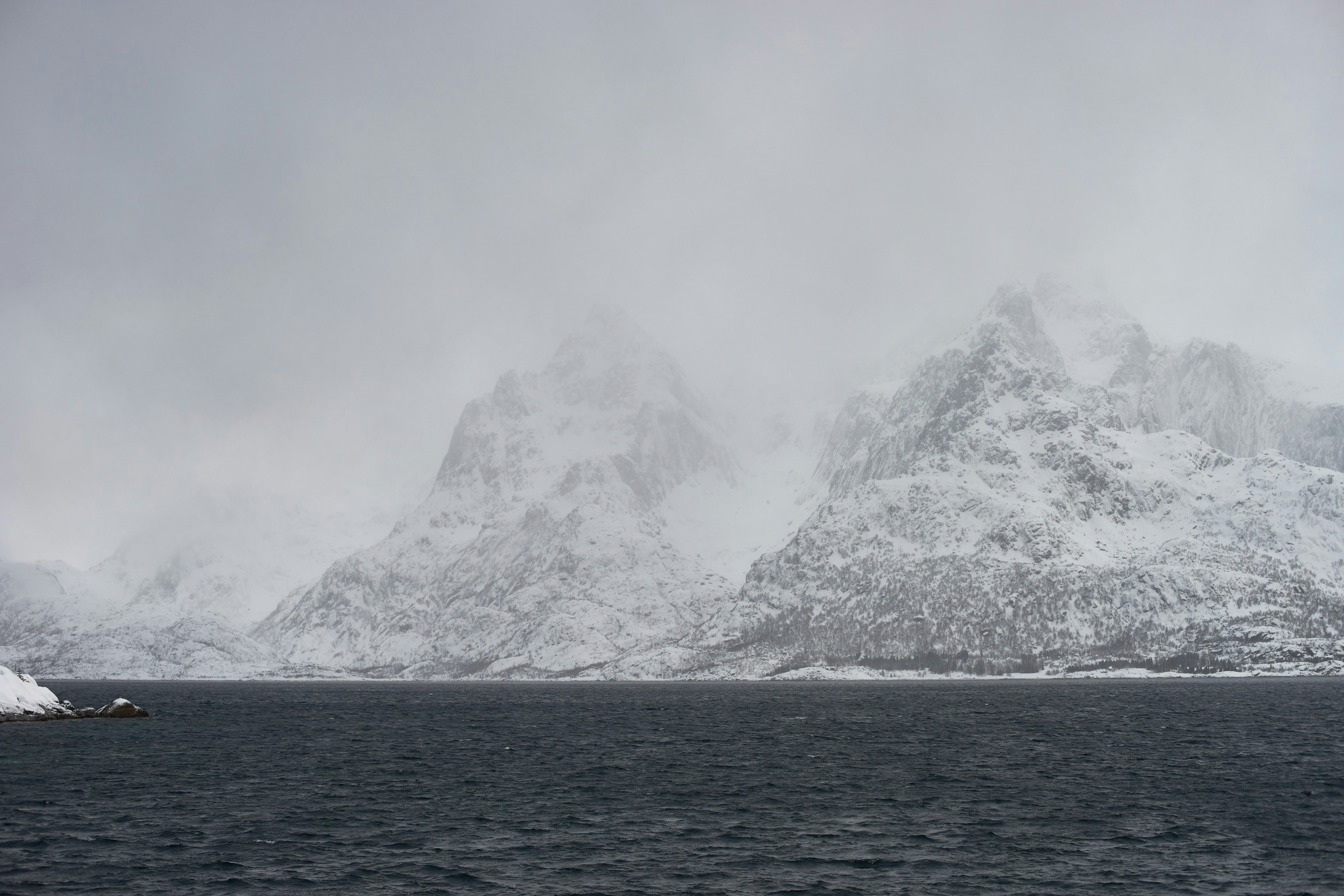 Photo by wolfgang_hasselmann