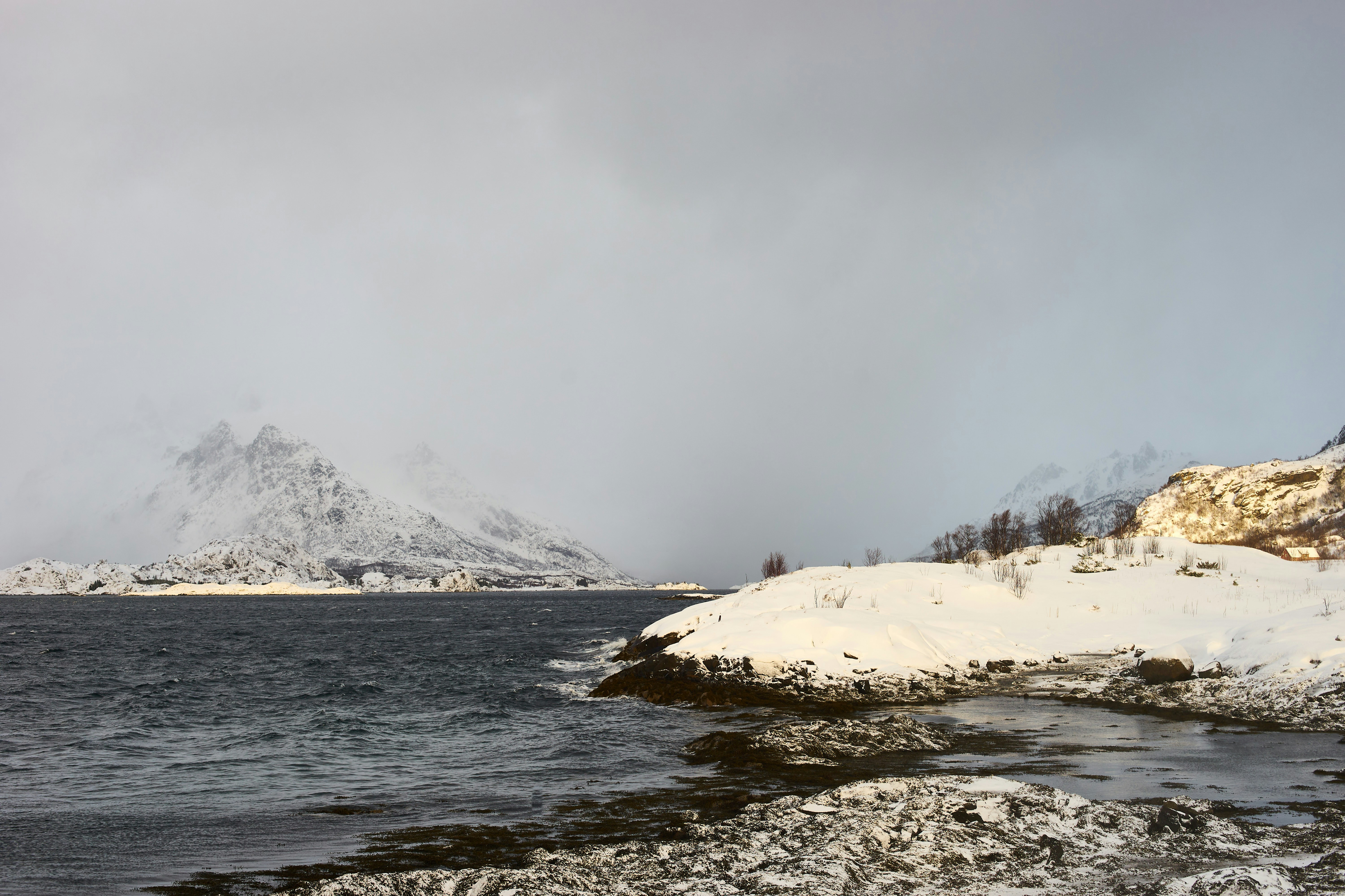 Photo by wolfgang_hasselmann