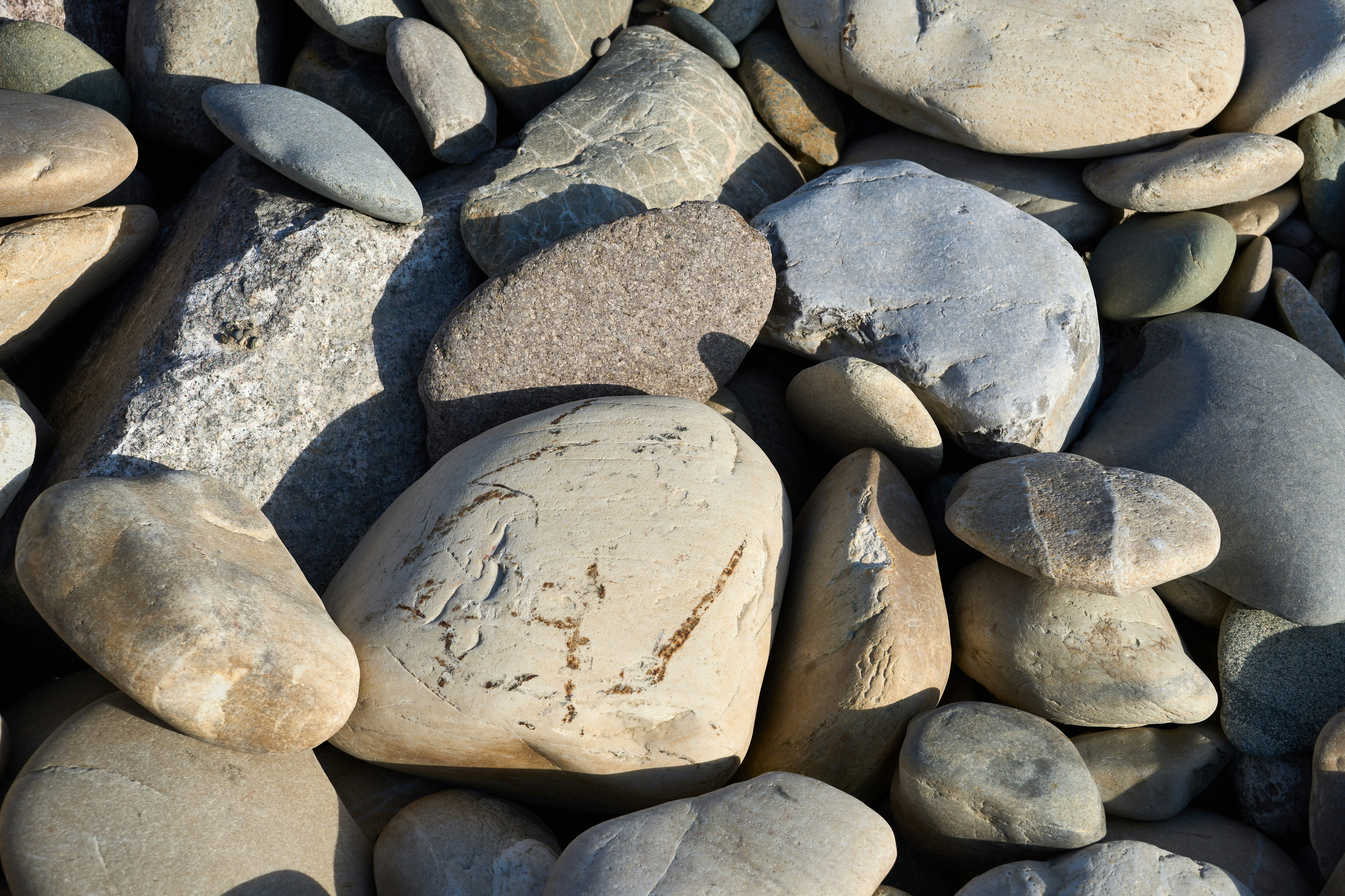 Photo by wolfgang_hasselmann