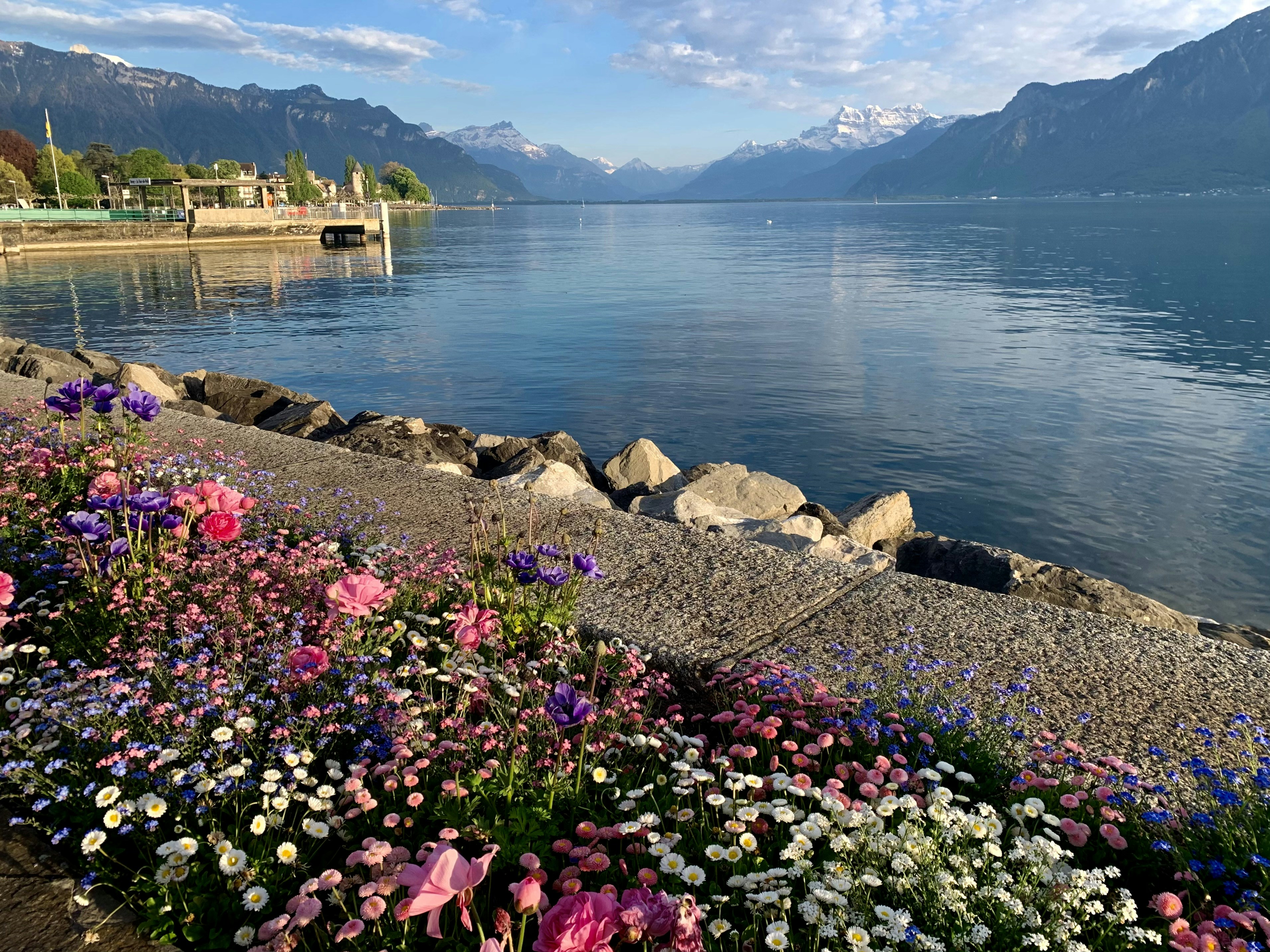 Apollina Creative Agency: Votre Partenaire Marketing de Confiance à Vevey, Suisse