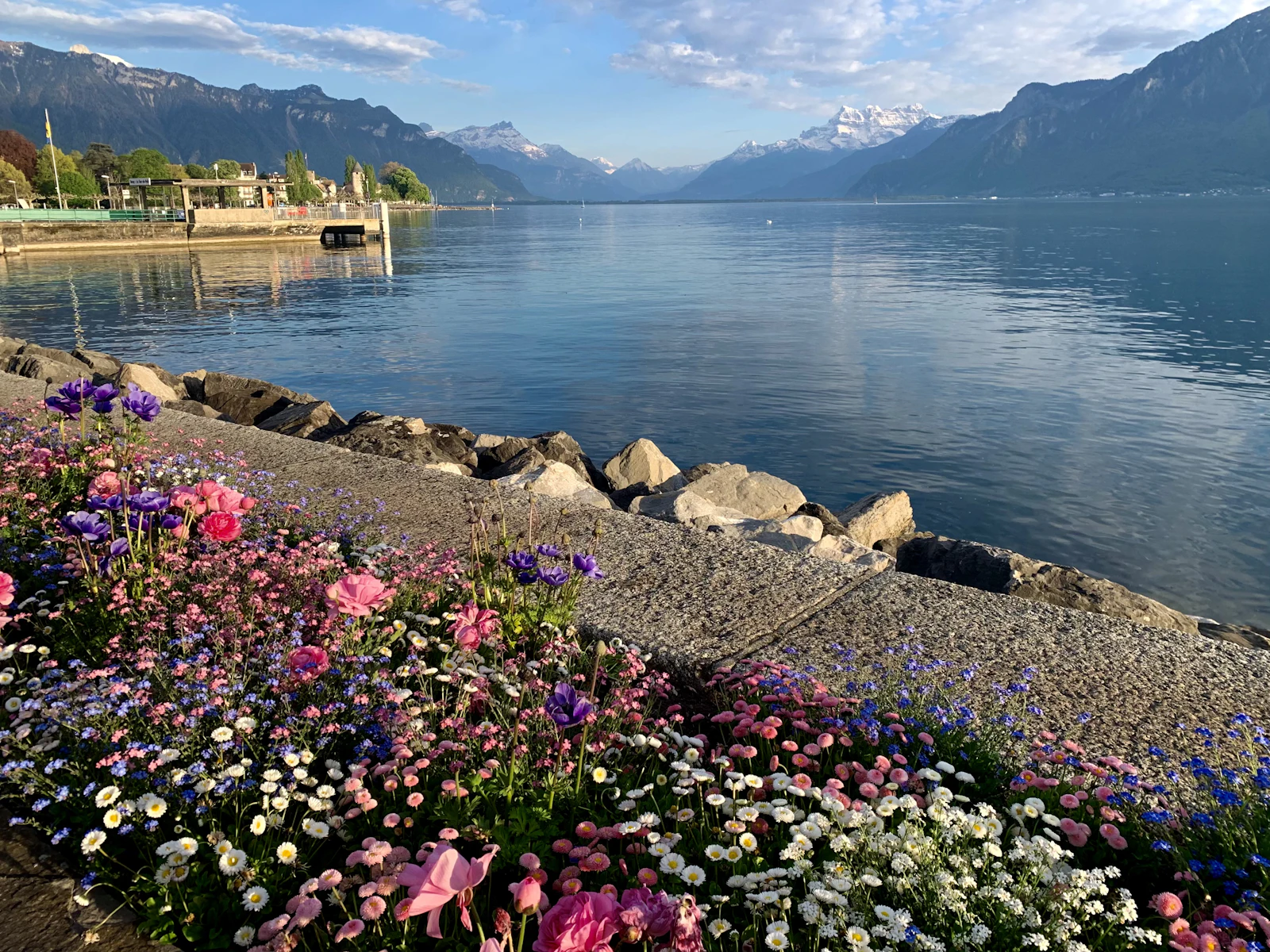 Fleurs au bord du lac Léman à Vevey, montagnes en arrière-plan