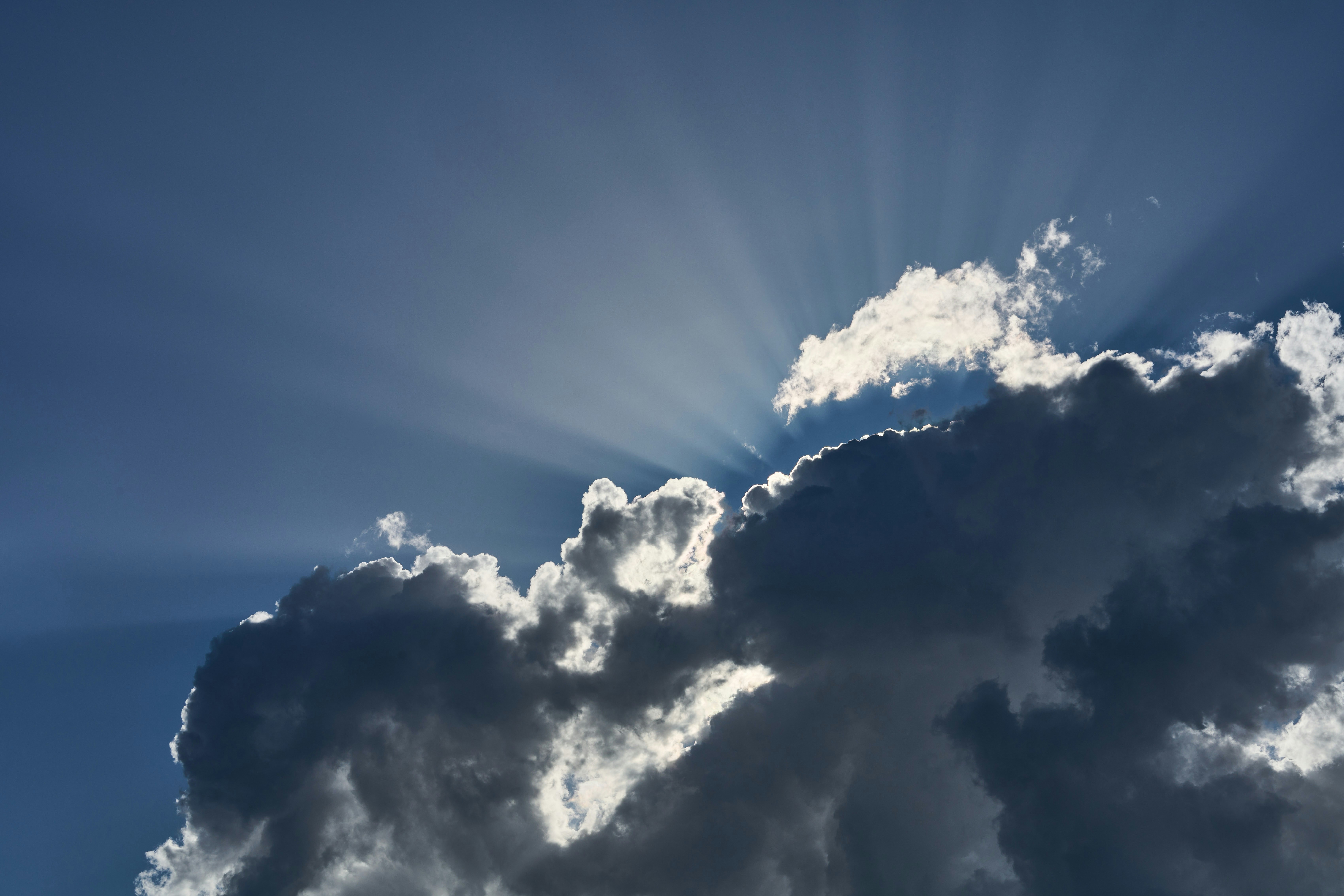 Photo by wolfgang_hasselmann