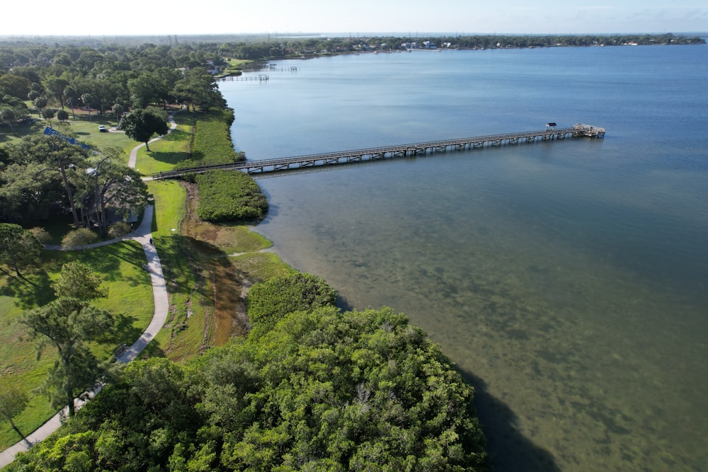 a large body of water surrounded by lush green trees