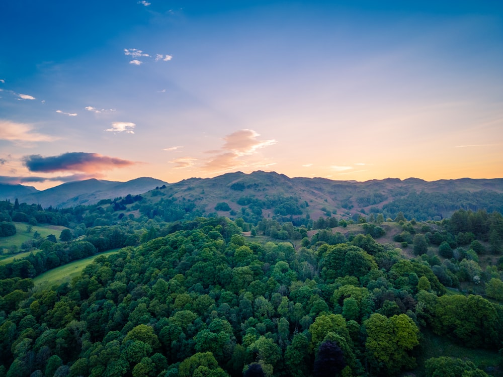 Una vista aérea de un bosque con una puesta de sol al fondo