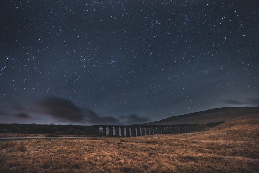 a train traveling across a lush green field under a night sky