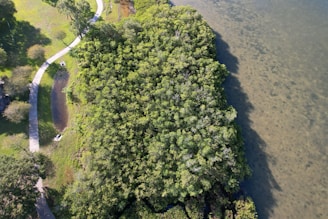 Lush green park area in Central New York with walking paths.