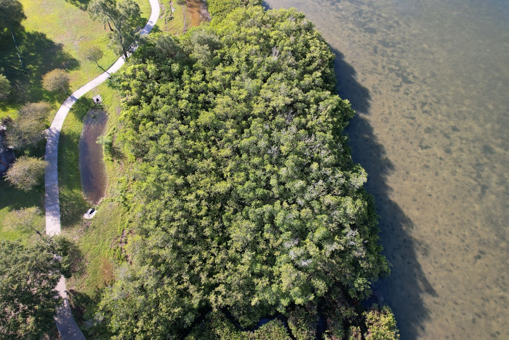 an aerial view of a park with a river running through it