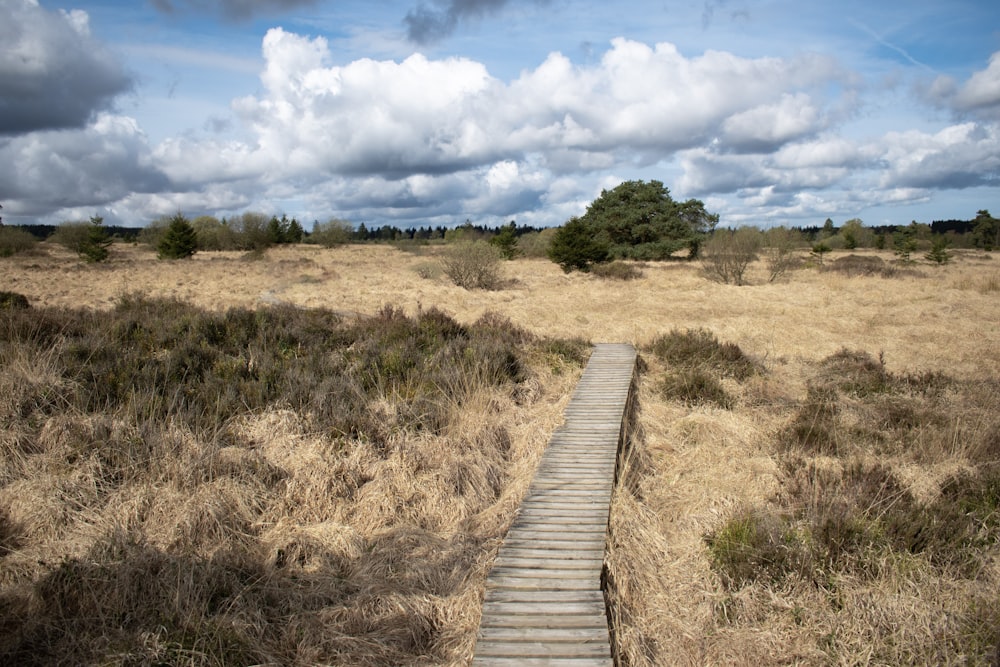 a wooden walkway in a dry grass field