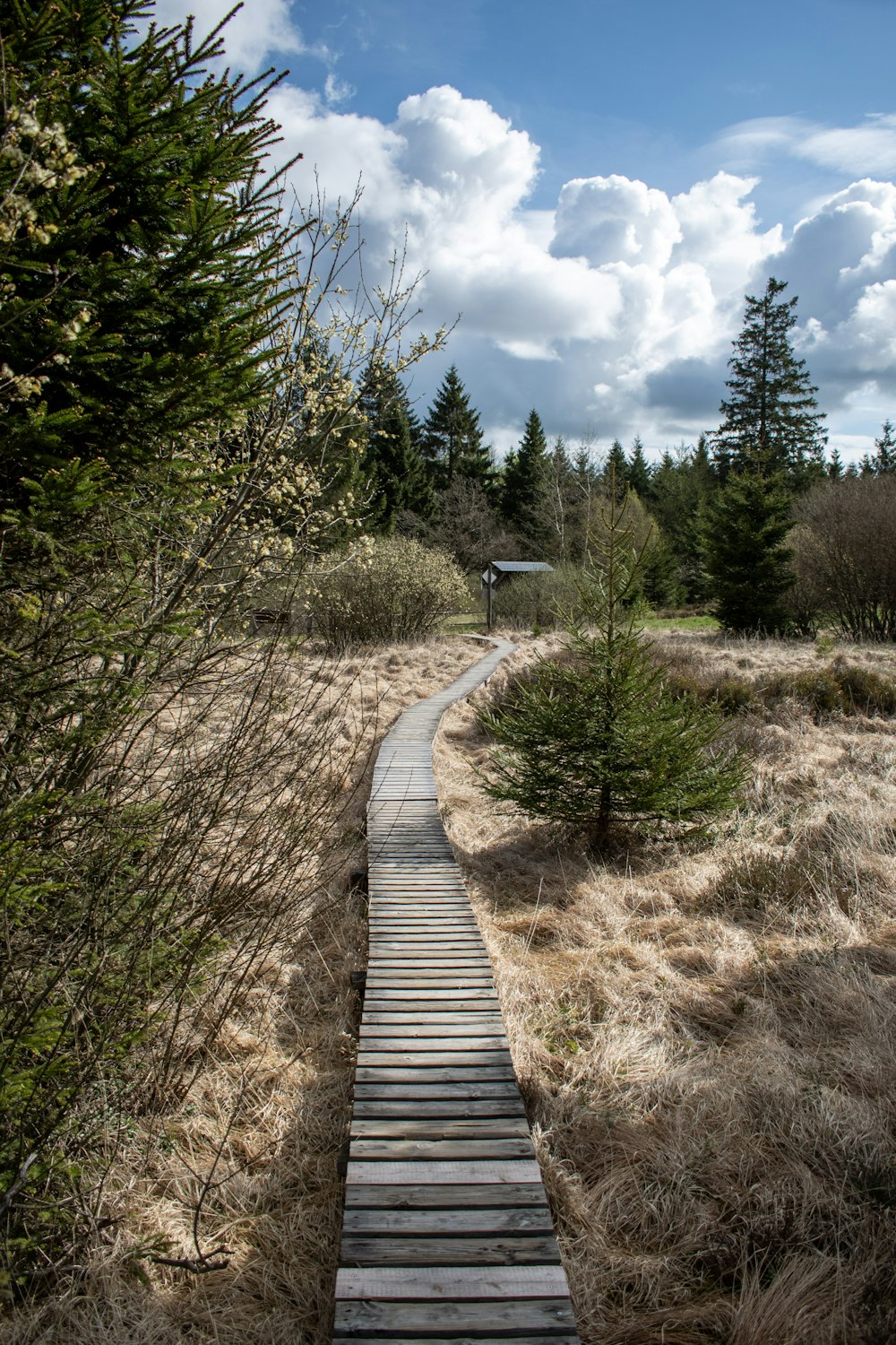 a wooden path in the middle of a field