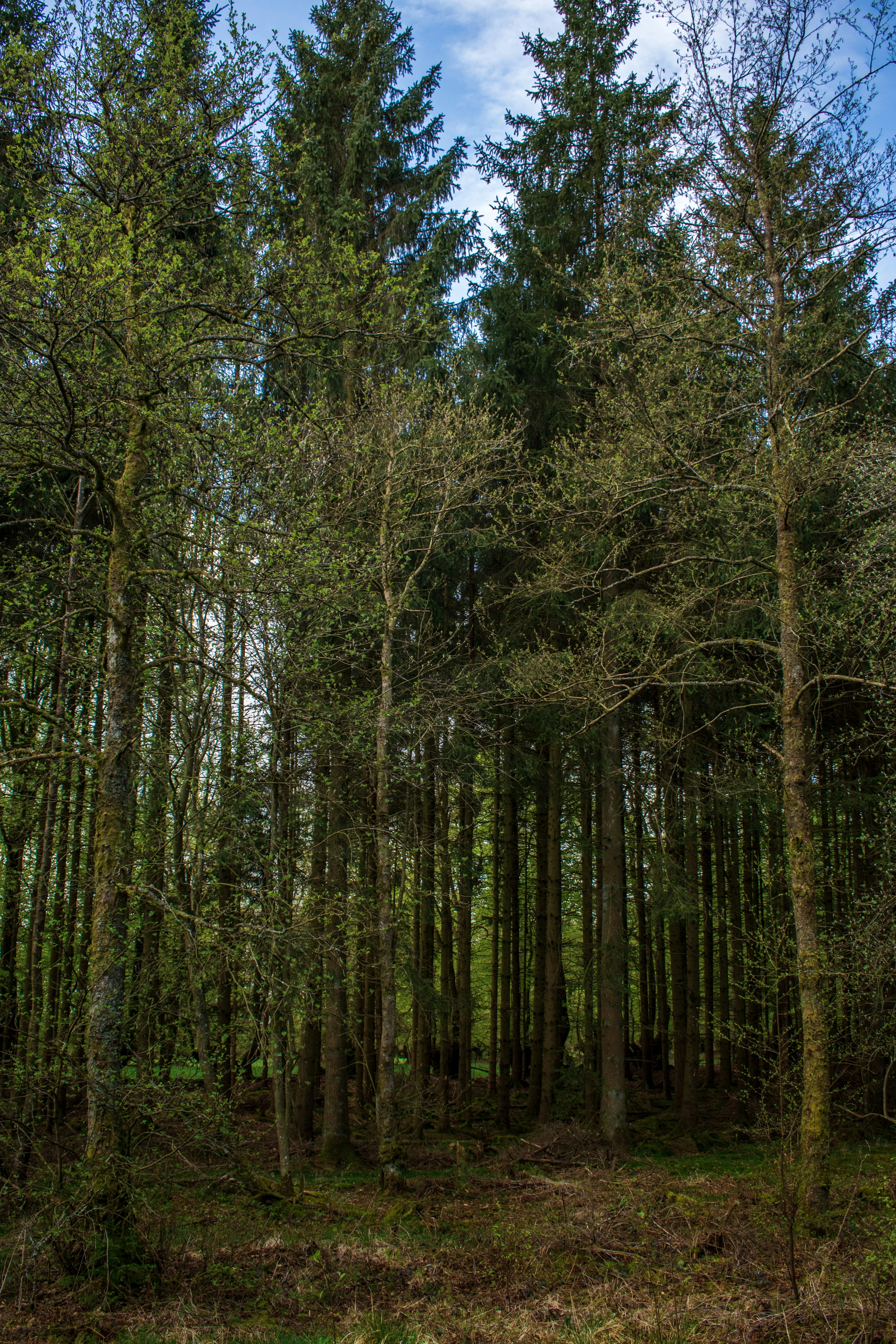 Photo by bo_schoonejans_photography