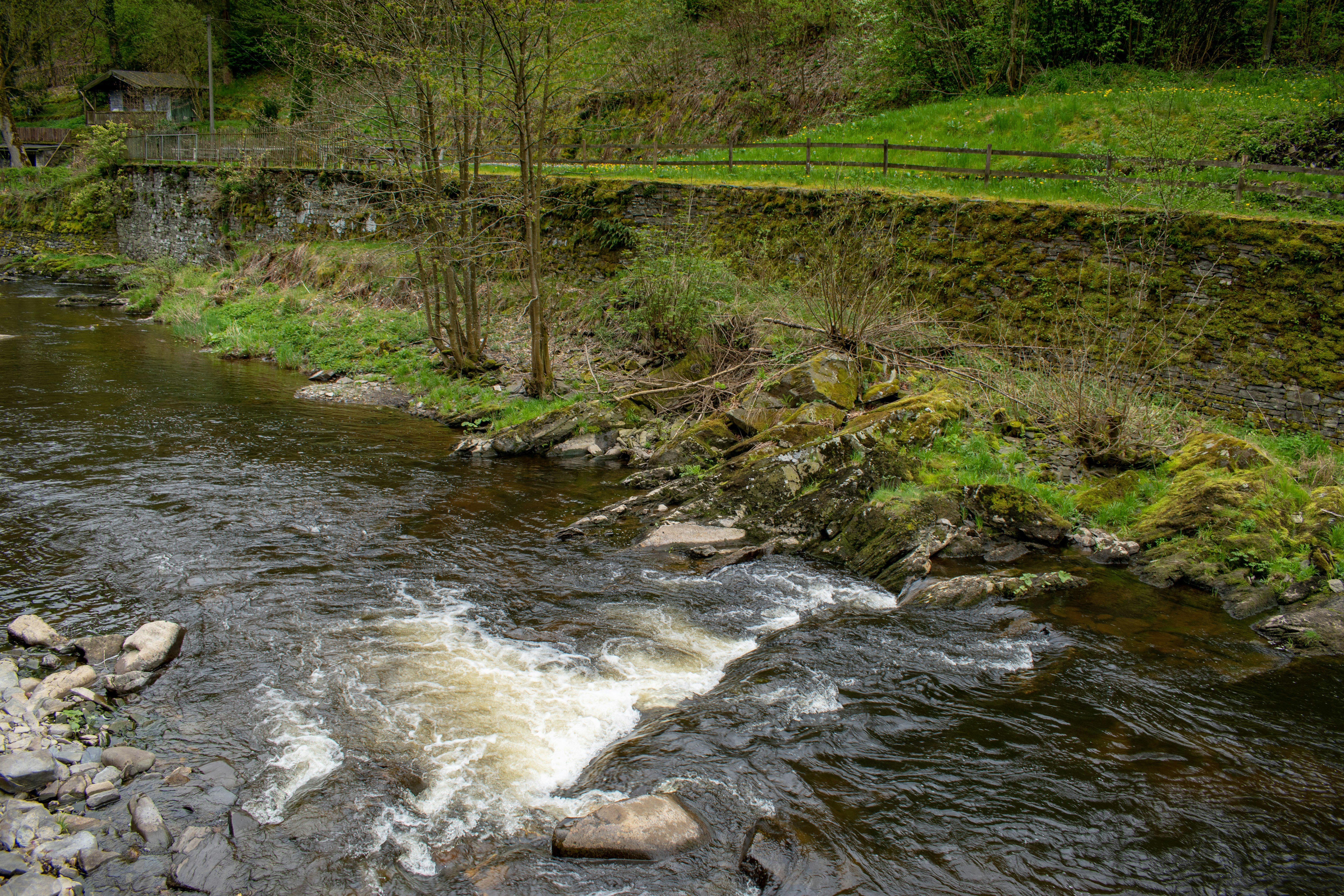 Photo by bo_schoonejans_photography