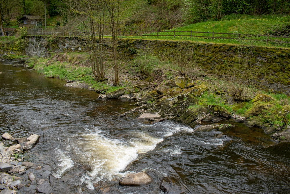 a river running through a lush green forest