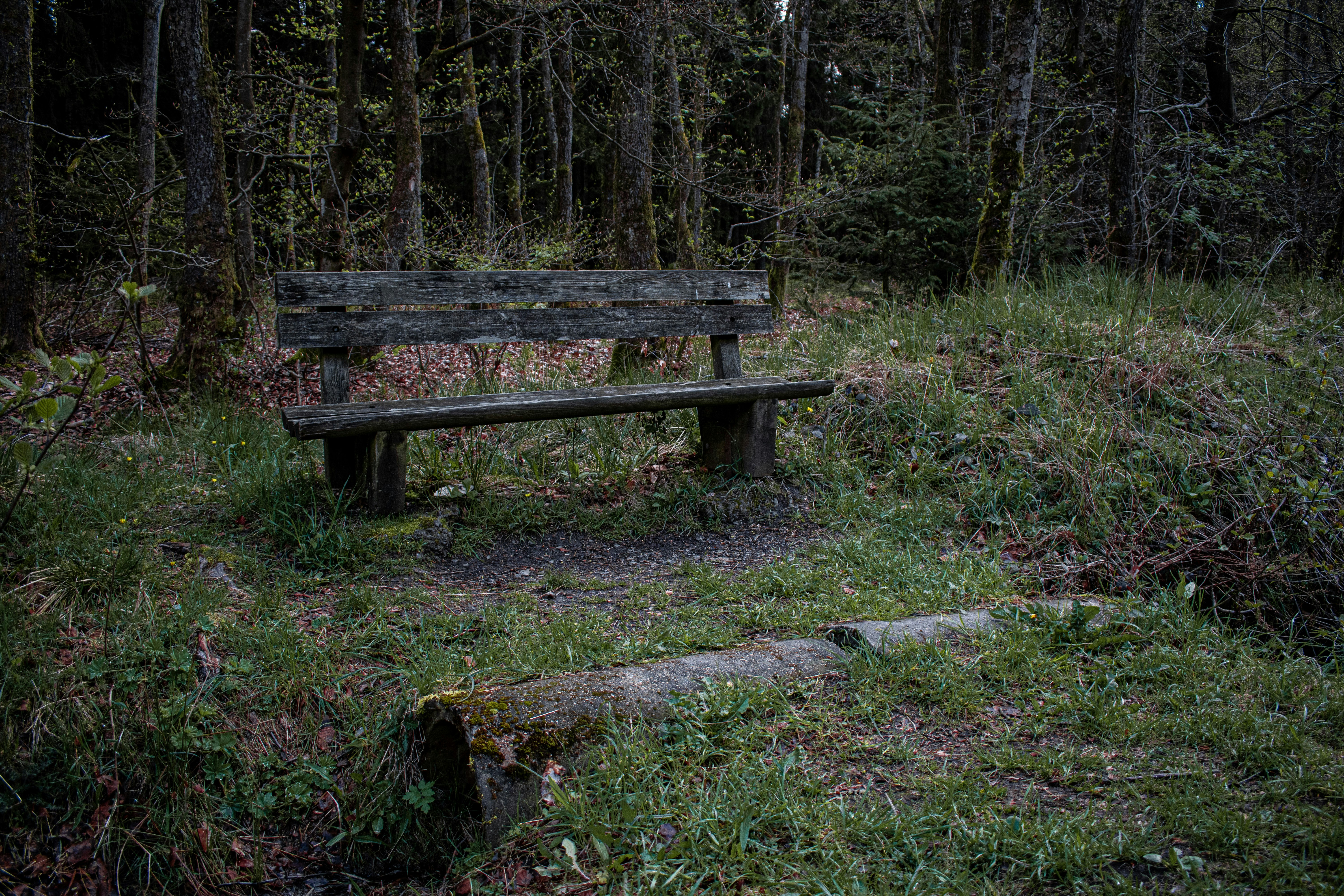 Photo by bo_schoonejans_photography