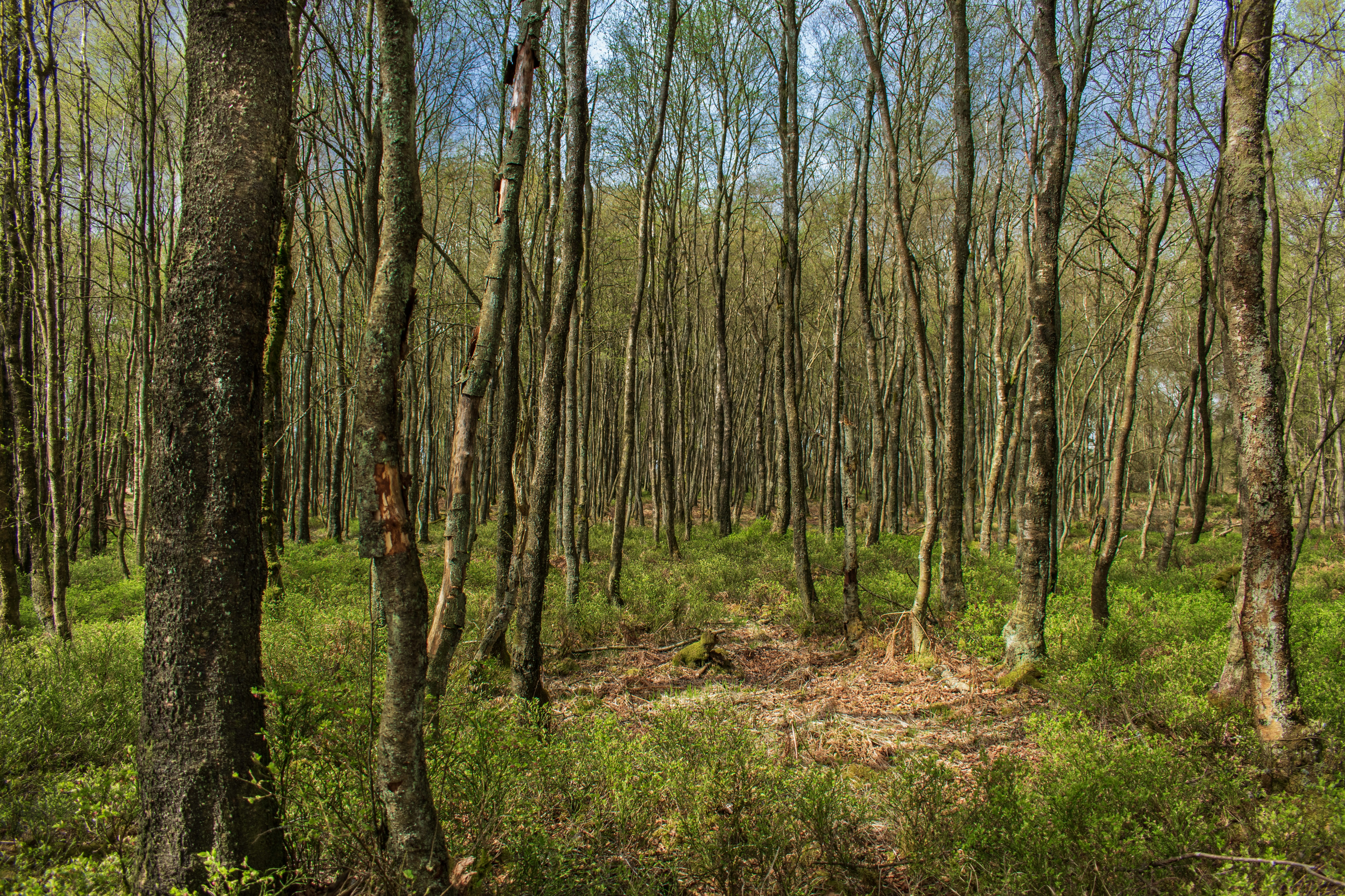 Photo by bo_schoonejans_photography