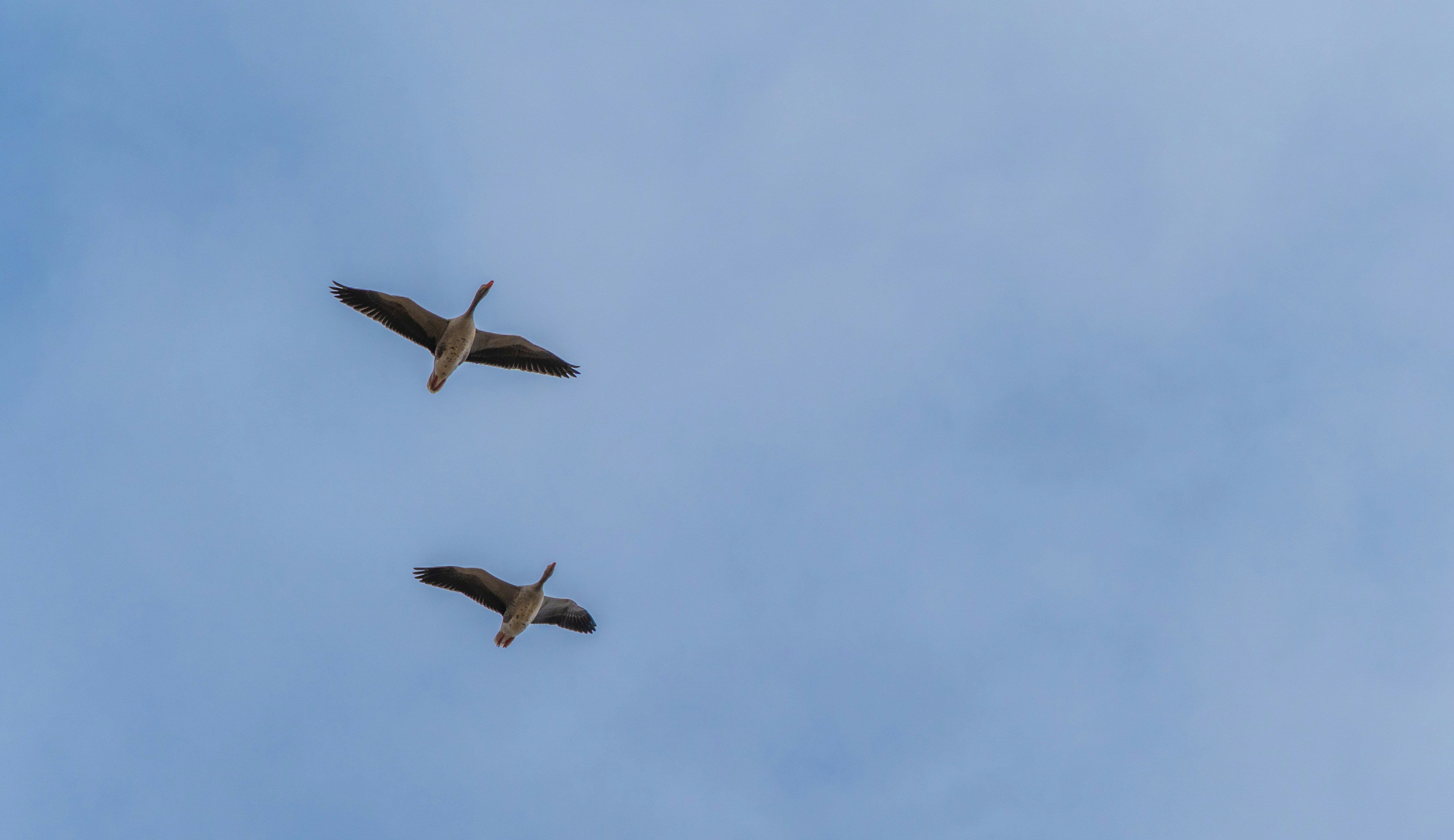 Photo by thierry_biland