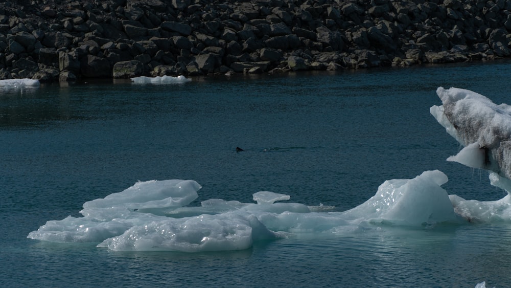 a group of icebergs floating on top of a body of water