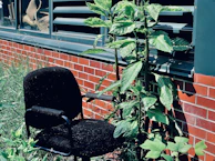 Close-up of a dental chair next to a large window with potted plants.