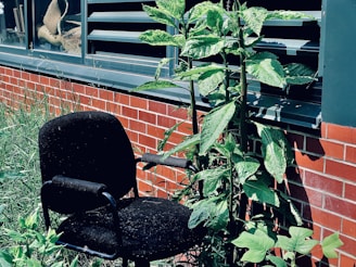 An elegant office chair in a bright workspace with plants.