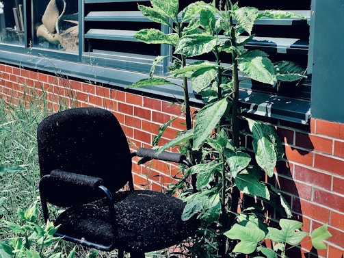 An elegant office chair in a bright workspace with plants.
