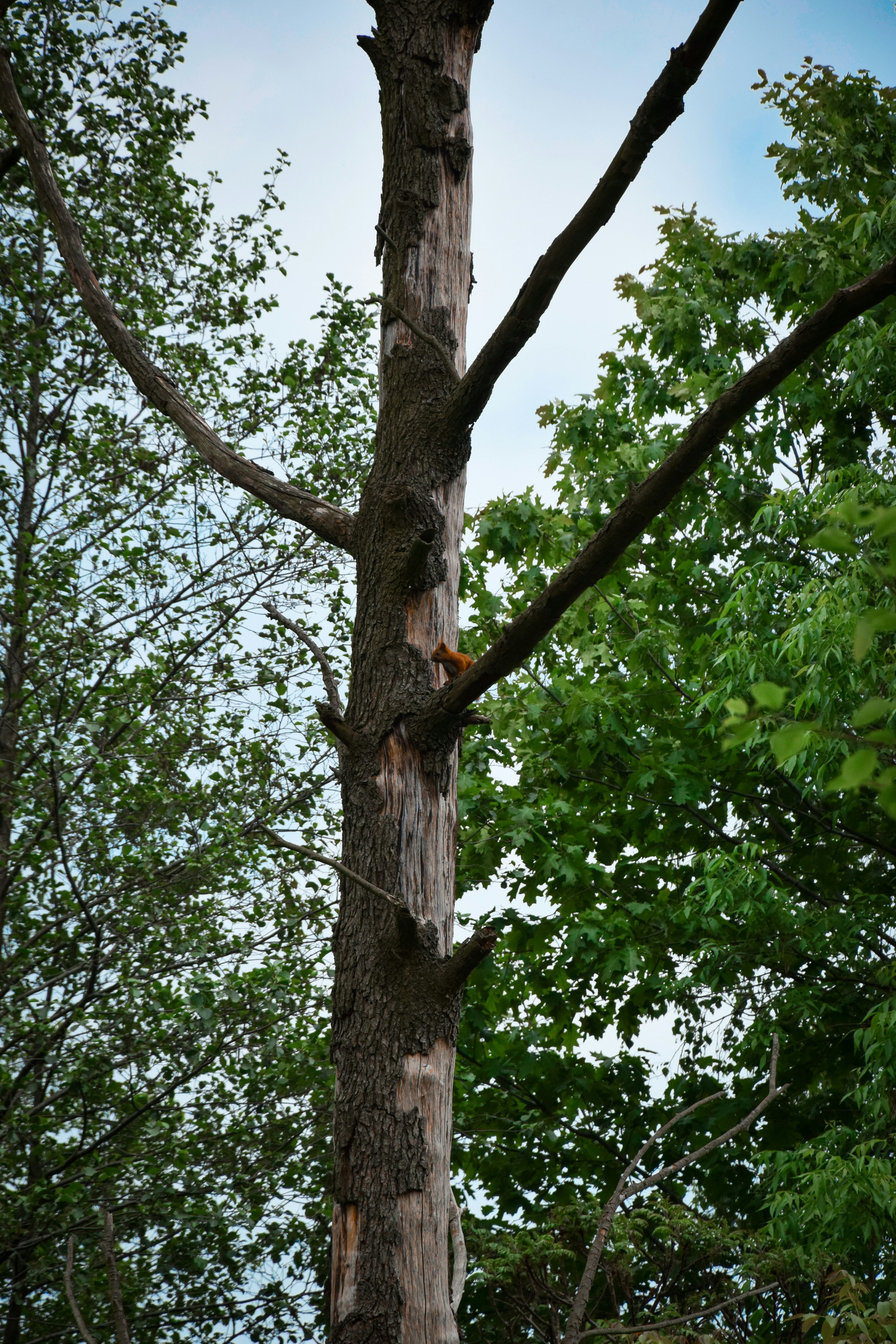 Photo by dominikklos