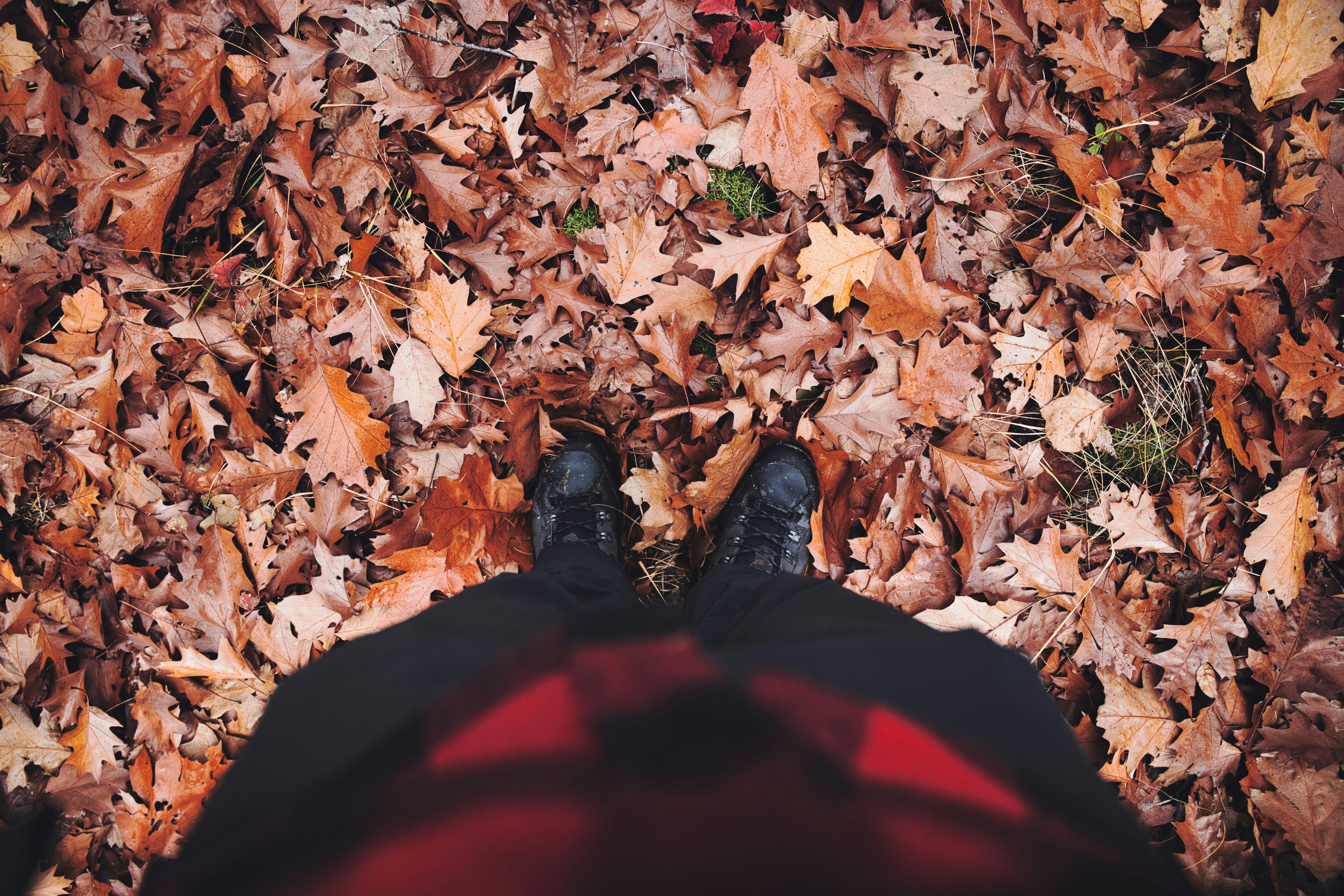 Photo by mehmetakyuz