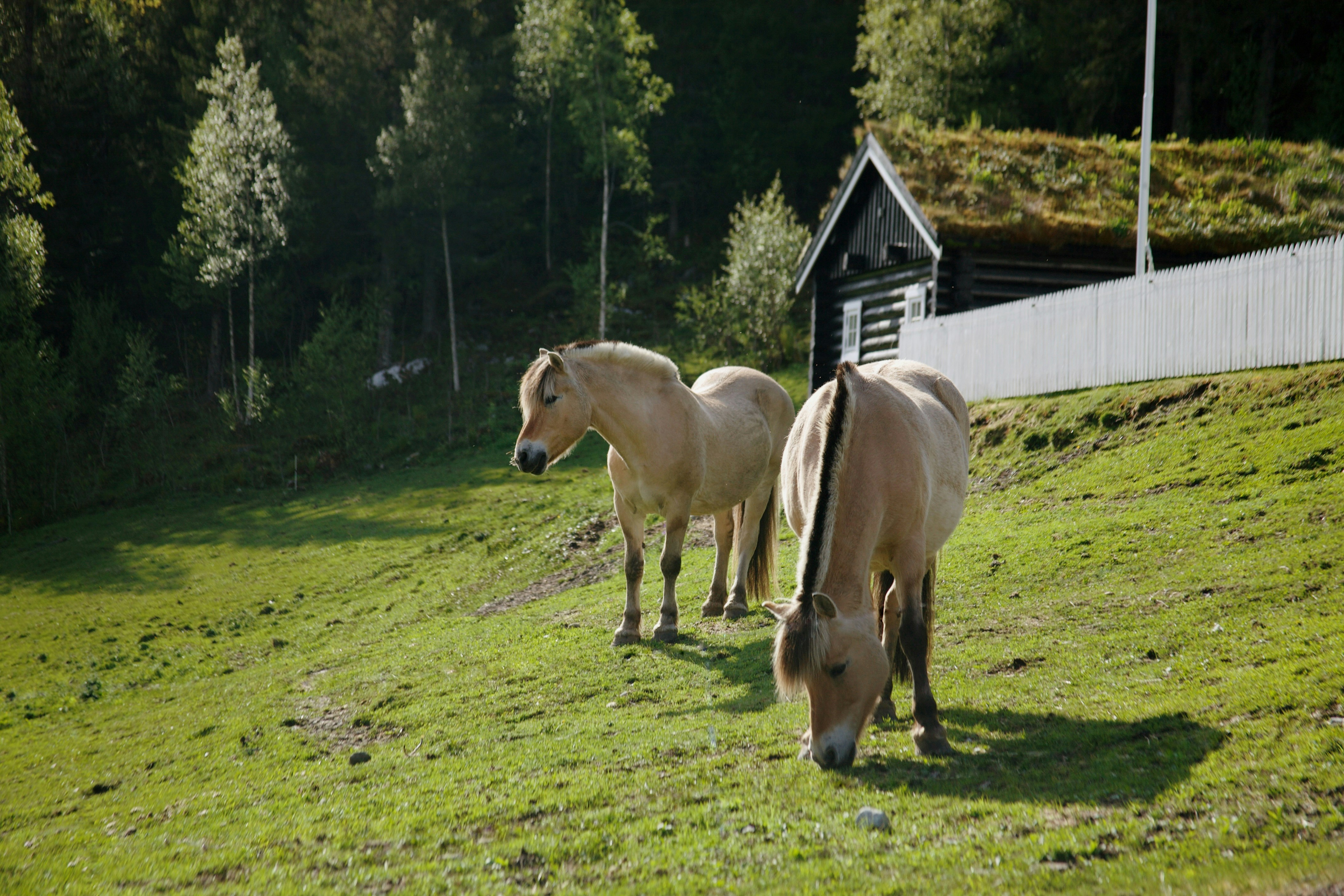 Photo by kristinokarlsen