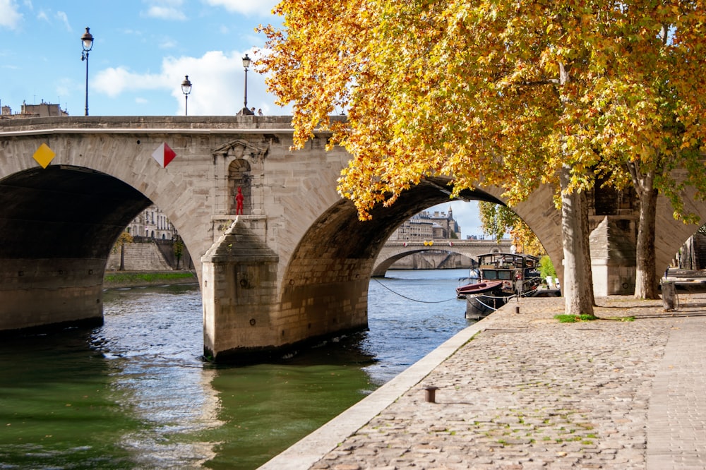 eine Brücke über ein Gewässer neben einem Baum