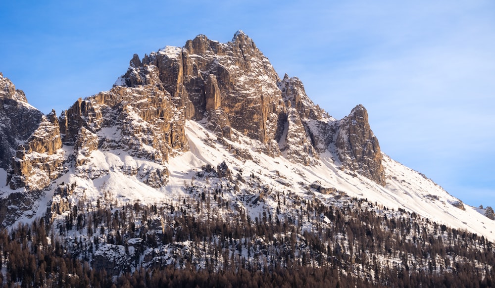 a snow covered mountain with pine trees in the foreground