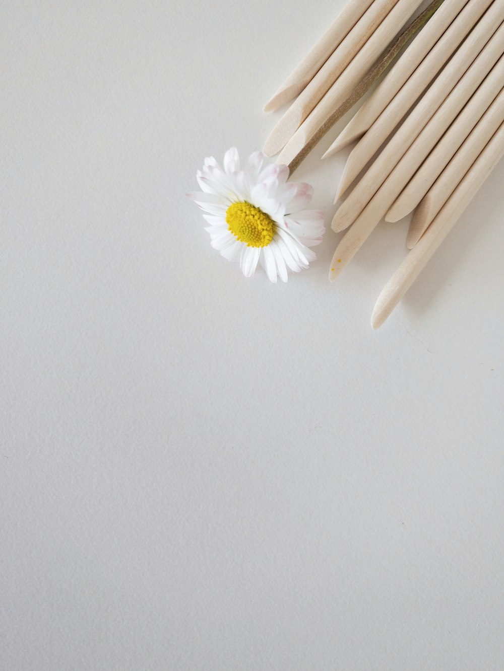 a white flower sitting on top of a wooden comb