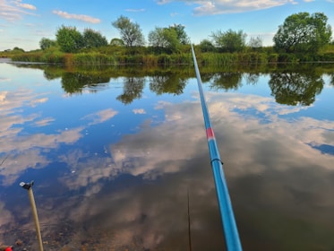 An angler casting a line into shimmering water with a backdrop of lush green trees and a clear blue sky.