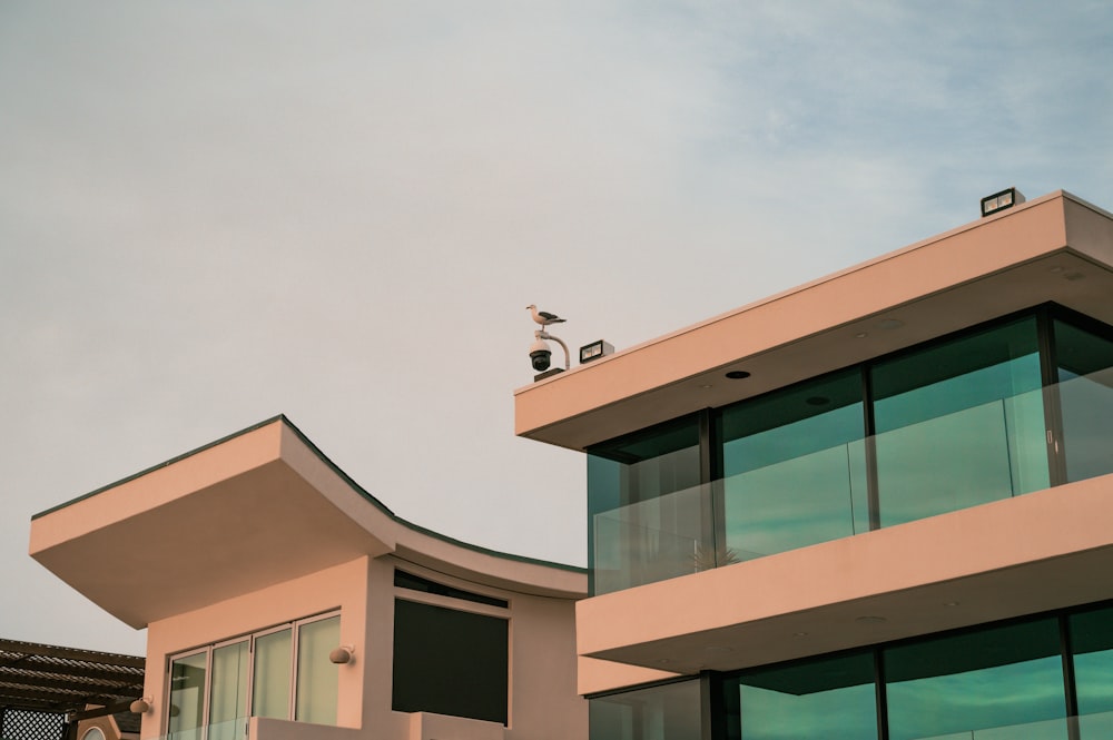 a bird is sitting on top of a building
