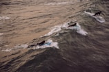 Three surfers, clad in dark wetsuits, paddle through the foamy waves on a large body of water. The scene captures the movement of the ocean and the energy of the surfers as they navigate the surfboards.