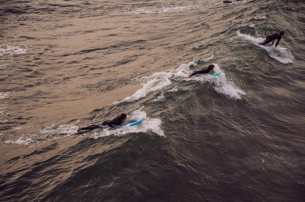 a couple of people on surfboards in the water