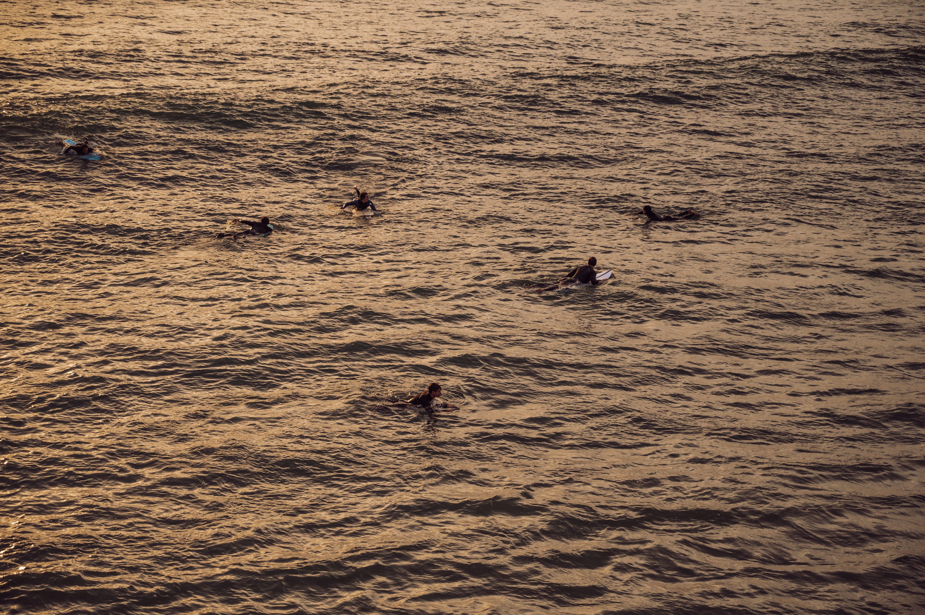 Photo by _nicoledee_