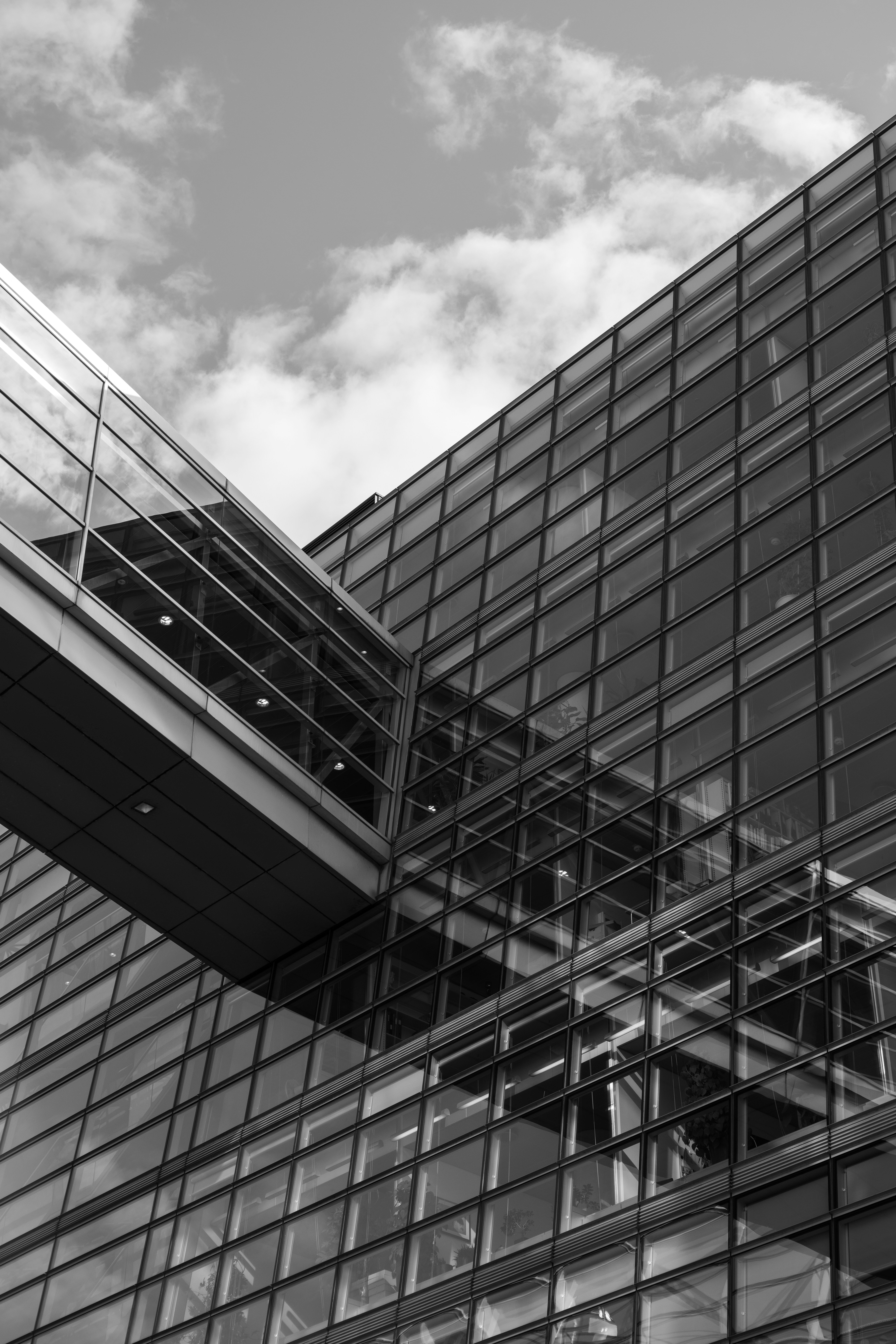 Photo by faitheraser