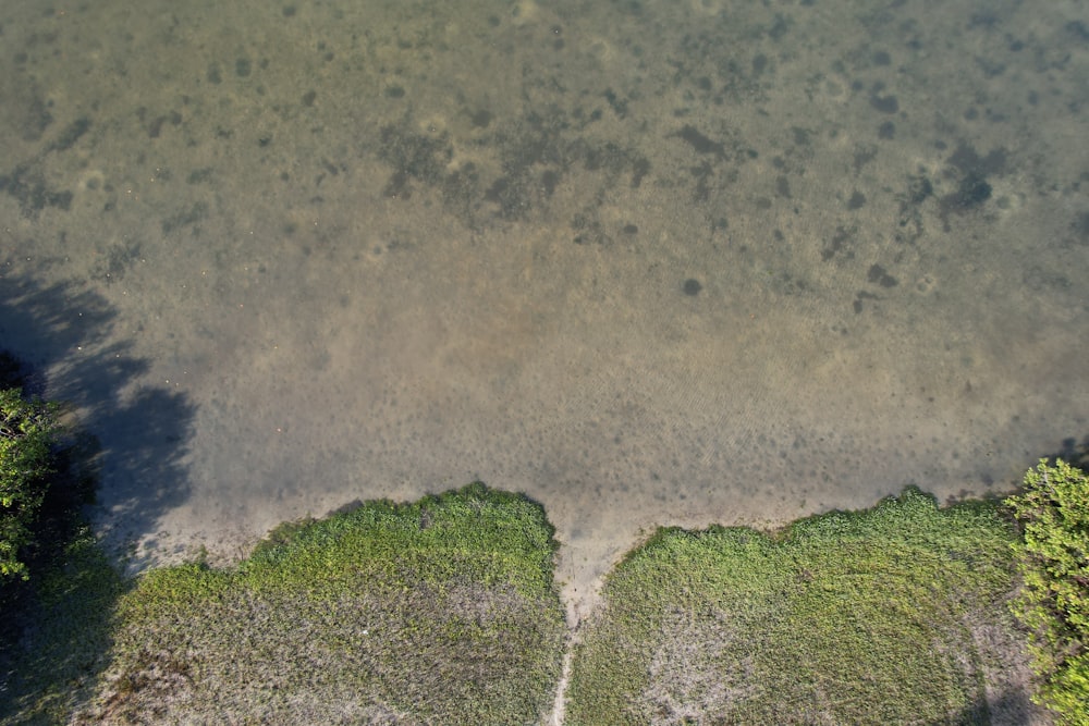 an aerial view of a body of water surrounded by trees