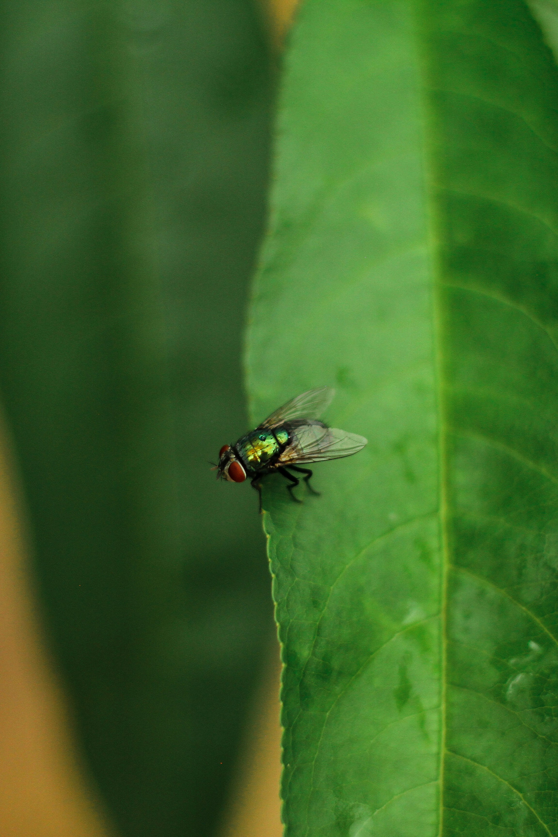 Photo by dhayaeddinebentaleb